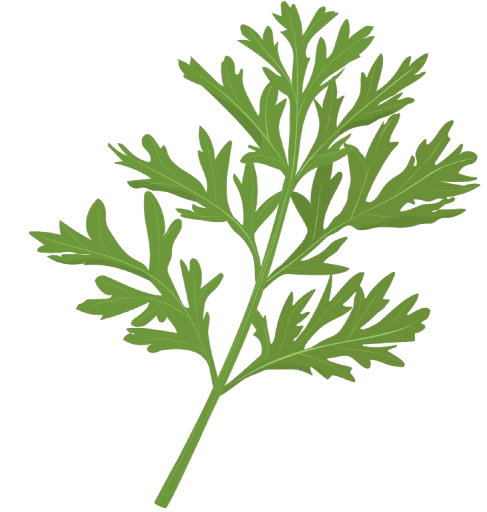 Aromatično bilje suho mix